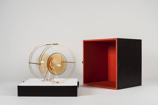 Ritratto del curatore da giovane