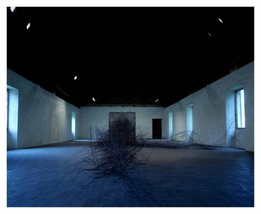 Fino al 5.X.2013 | Davide Dormino, Magnetism | Castello di Rivara, Rivara