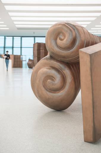 I Fabulous Muscles di Danh Vo