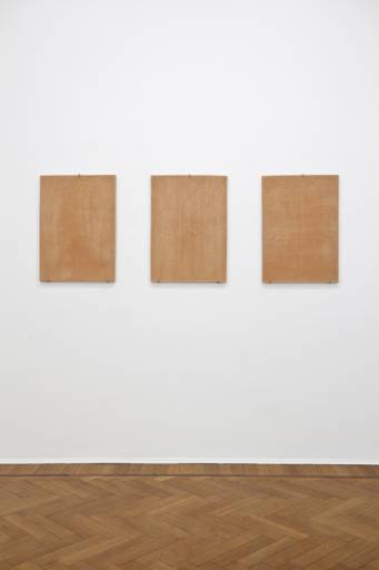 Fino al 26.VII.2013 | Stefano Arienti Manifesti | Milano, Studio Guenzani |