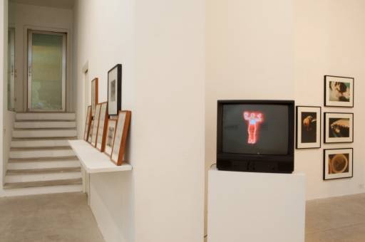 Fino al 4.VIII.2013 | Ana Mendieta e Martha Rosler | Milano, Galleria Raffaella Cortese