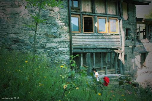 15 – 22 luglio 2013 | Si apre una finestra sul bosco a Milano | Succede da 0’. Come?