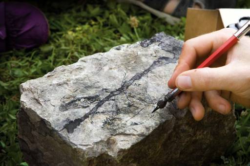 Residenza con vista. Sull’arte di domani/1