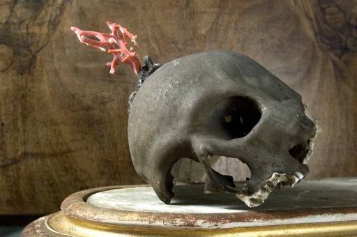 L’Intervista/Annalisa Zanni, Lavinia Galli e Martina Mazzotta  | Wow che meraviglia l’arte!