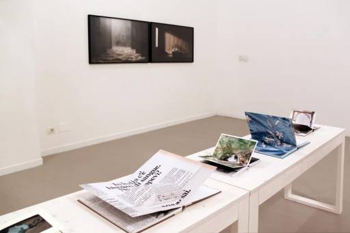 Fino al 1.II.2014 | Silvia Camporesi, Souvenir Universo | Galleria z2o Sara Zanin, Roma