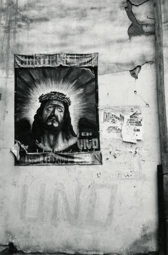 Que viva la fotografia!