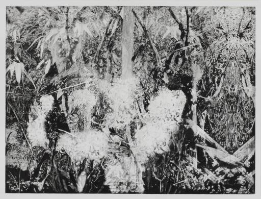 Fino al 28.II.2014 | Alain Huck, Tabou | Galleria Marie-Laure Fleisch, Roma Fino al 28.II.2014 | Alain Huck, Tabou | Galleria Marie-Laure Fleisch, Roma