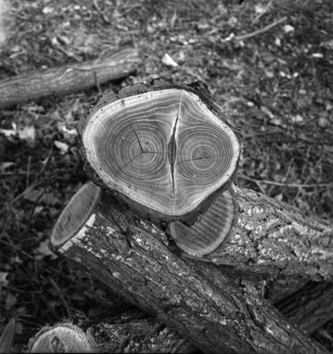 Fino al 4.V.2014 | Charlotte Perriand | Galleria Carla Sozzani, Milano Fino al 4.V.2014 | Charlotte Perriand | Galleria Carla Sozzani, Milano