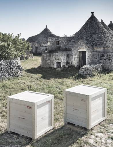 Artista, quindi cittadino | di questo pianeta