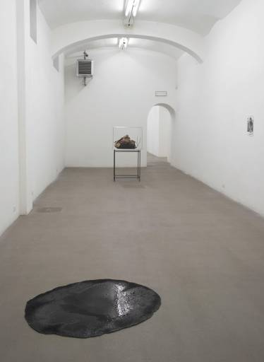 Fino al 18.VII.2014 | The registry of promise: The promise of Melancholy and Ecology | Fondazione Giuliani, Roma