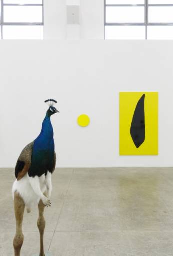 Fino al 18.VII. 2014 | Thomas Grunfeld & Gary Hume, Iron & Diamonds | Massimo De Carlo, Milano Fino al 18.VII. 2014 | Thomas Grunfeld & Gary Hume, Iron & Diamonds | Massimo De Carlo, Milano