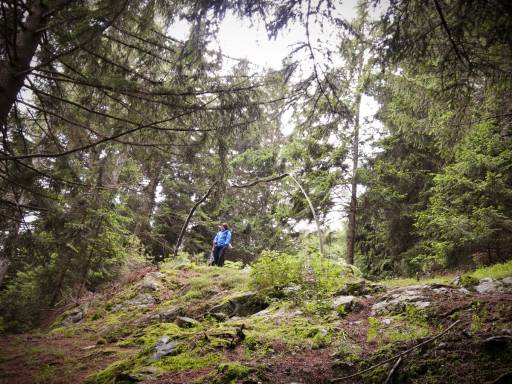 29 luglio 2014 | A un anno dall’apertura del Parco arte e natura di Malonno