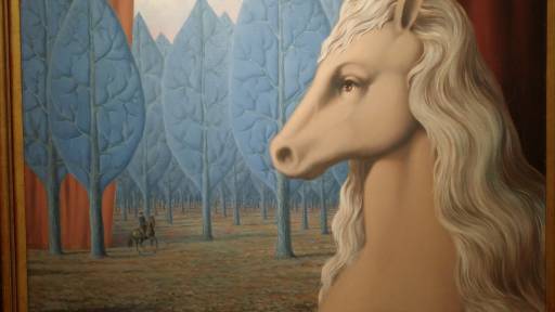 Solo per il piacere | dei nostri occhi