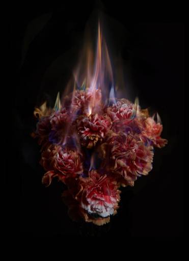 Fino al 30.IX.2014 | Mat Collishaw | Unosunove, Roma