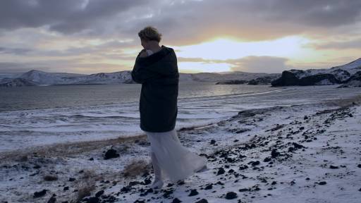 Festival del cinema  | E molto d’arte