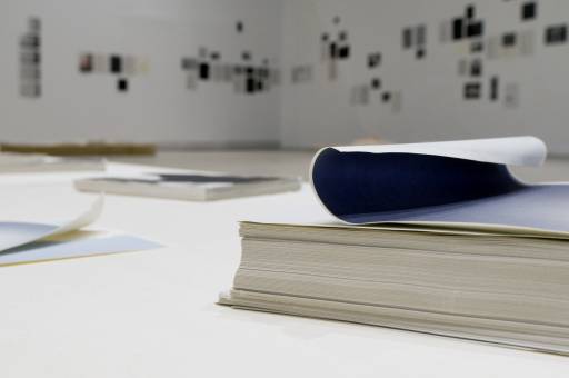 Fino al 20.IX.2014 | Annika Larsson, Introduction | MACRO, Roma