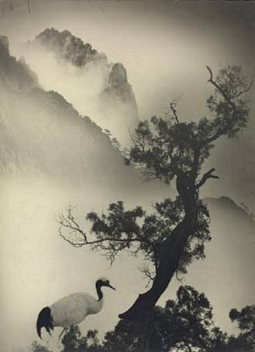 Fino al 21.IX.2014 | Long Chin-San e Mario Finazzi                                                                                                                                         La fotografia di paesaggio tra tecniche moderne e antica tradizione | GAMeC, Bergamo