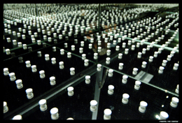 Ultimi giorni per visitare Ciboxmenti a Bolzano