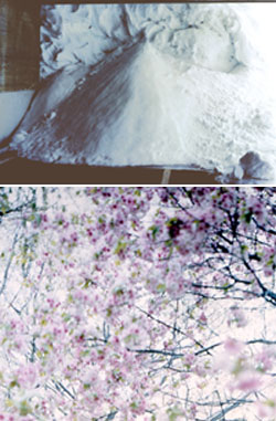 La prima personale in Italia… Flechtner da Antonio Colombo