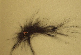 Tania Bruguera inaugura la galleria Francosoffiantino