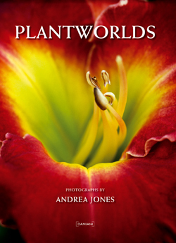 La fotografia di Andrea Jones in un volume di Damiani Editore La fotografia di Andrea Jones in un volume di Damiani Editore