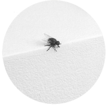 L’ultima pubblicazione di Postmedia Books L’ultima pubblicazione di Postmedia Books