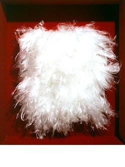 L’immagine del vuoto al Museo Cantonale d’Arte di Lugano