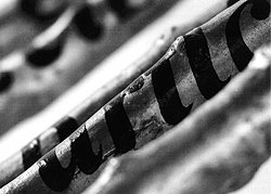 Marisa Albanese da Pino Casagrande a Roma Marisa Albanese da Pino Casagrande a Roma