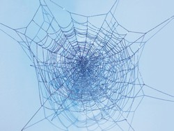 La Fondazione Bevilacqua La Masa presenta a Venezia Jim Hodges La Fondazione Bevilacqua La Masa presenta a Venezia Jim Hodges