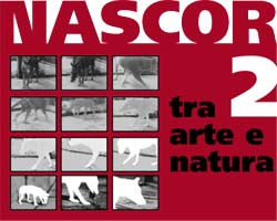 Con la seconda edizione di “Nascor” la Fondazione Studio Carrieri – Noesi riporta l’attenzione sui rapporti tra Arte e Natura