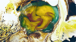 Artissima presenta: Rachel Rose – illy Present Future 2014 Prize Exhibition Artissima presenta: Rachel Rose – illy Present Future 2014 Prize Exhibition