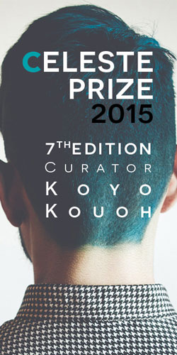 Celeste Prize 2015, VII edizione Celeste Prize 2015, VII edizione