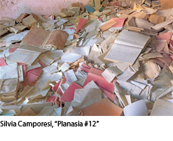 MIA PHOTO FAIR 2016: SILVIA CAMPORESI VINCE IL “PREMIO BNL GRUPPO BNP PARIBAS”