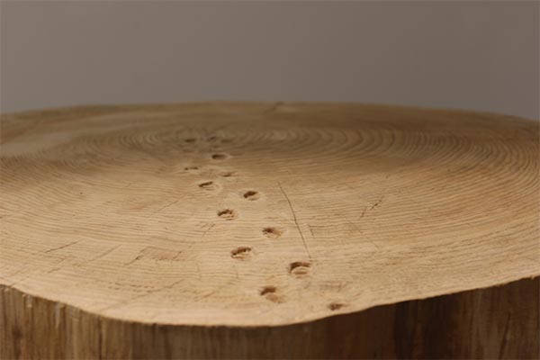 Pèriplo alla Isolo 17 Gallery di Verona