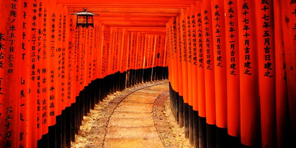 PHOTO TOURS PRO ti porta in Giappone