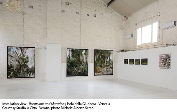 RECURSIONS AND MUTATIONS | Vincenzo Castella | Lynn Davis | Jacob Hashimoto | Roberto Pugliese RECURSIONS AND MUTATIONS | Vincenzo Castella | Lynn Davis | Jacob Hashimoto | Roberto Pugliese