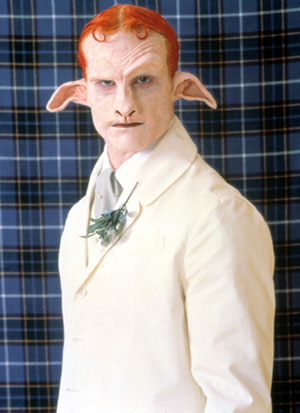 Al MartRovereto tra Metamorfosi, artifici e ibridi