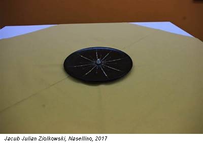 Jacub Julian Ziolkowski, Nasellino, 2017