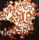 dall’1.VI.2000 al 26.VI.2000 | Carla Accardi | Roma, MLAC