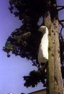 Passaggi a Nord/Ovest