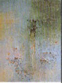 Ombra verde ed altre stesure