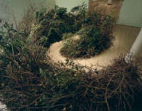 Meg Webster, Stick Spiral, 1986. Installation.