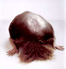 Antonia Fontana, Mater, 2000, Photo di Maurizio Cavalcanti, Stampa plotter, 130x130