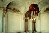 Cattelan, cavallo in tassidermia