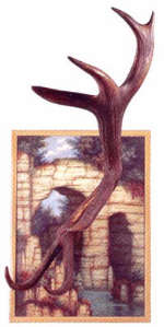 Daniel Spoerri . Background Landscapes Ardiglione 