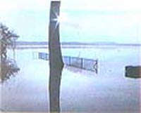 Valeria Proserpio In Campo 2000200.I