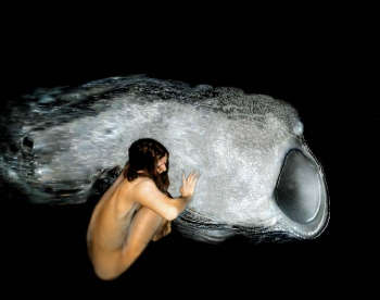 Caterina Notte, WormHole