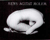 Eugenio Miccini, Mens agitata molem, riporto fotografico e lettere in bronzo, 1996, cm 69x104 