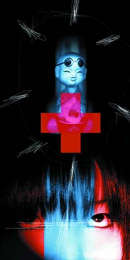 DICROSSOVER di Basilè 