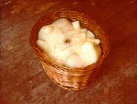 Robert Gober (American, b. 1954). Untitled, 2000-2001, willod, wood, beeswax, human hair, silver-plated cast brass, pigment. 16 x 32 1/4 x 26 inchdes. United States Pavilion, 49th Venice Biennale. Photo credit: Liz Deschenes, Courtesy of the artist. 